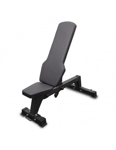 Ikex Banco regulable Pro