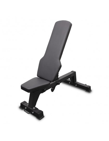 Ikex Banco regulable Pro