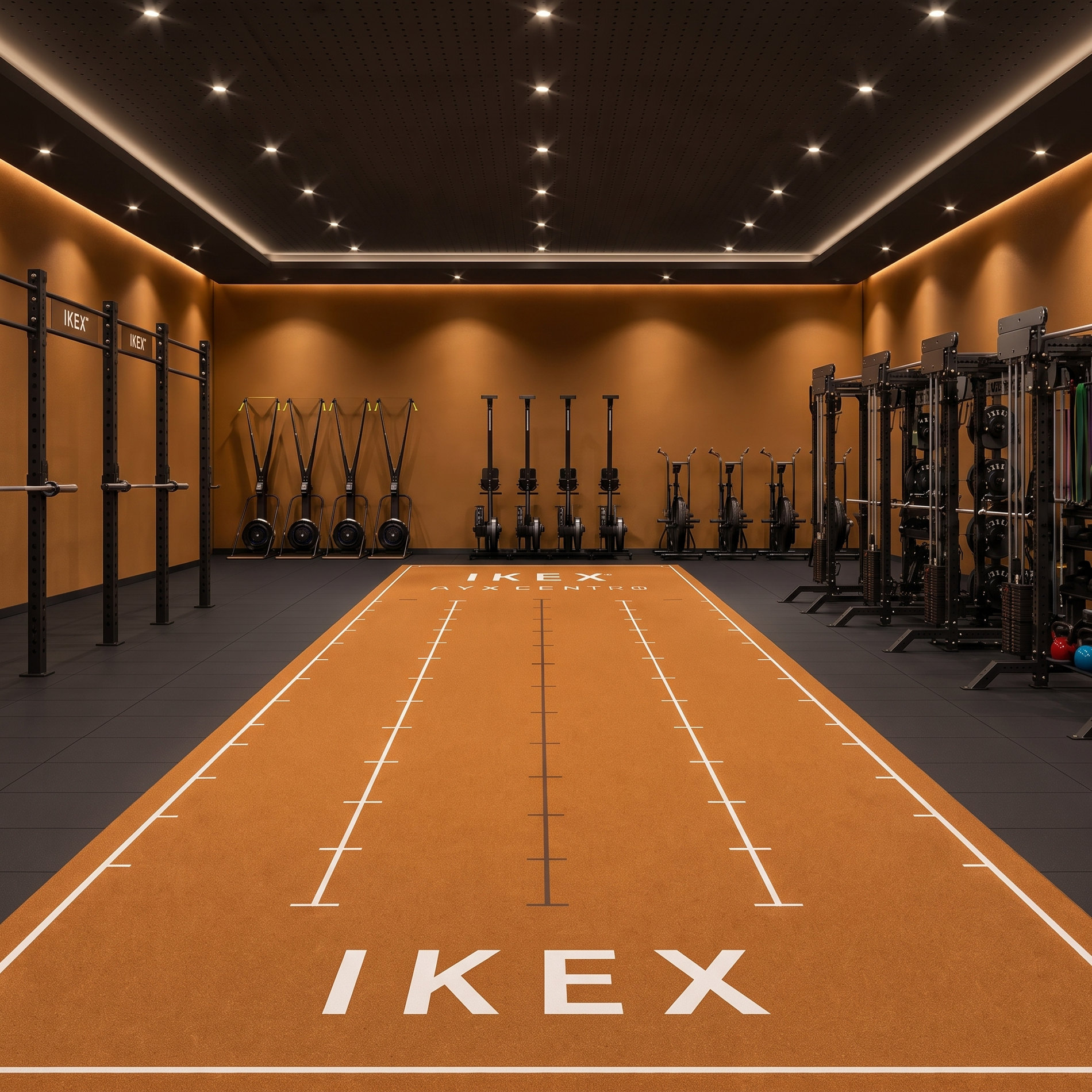 Miniatura de propuesta naranja con logo IKEX