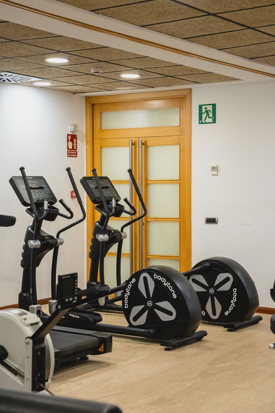 Zona de cardio integrada en un proyecto fitness profesional