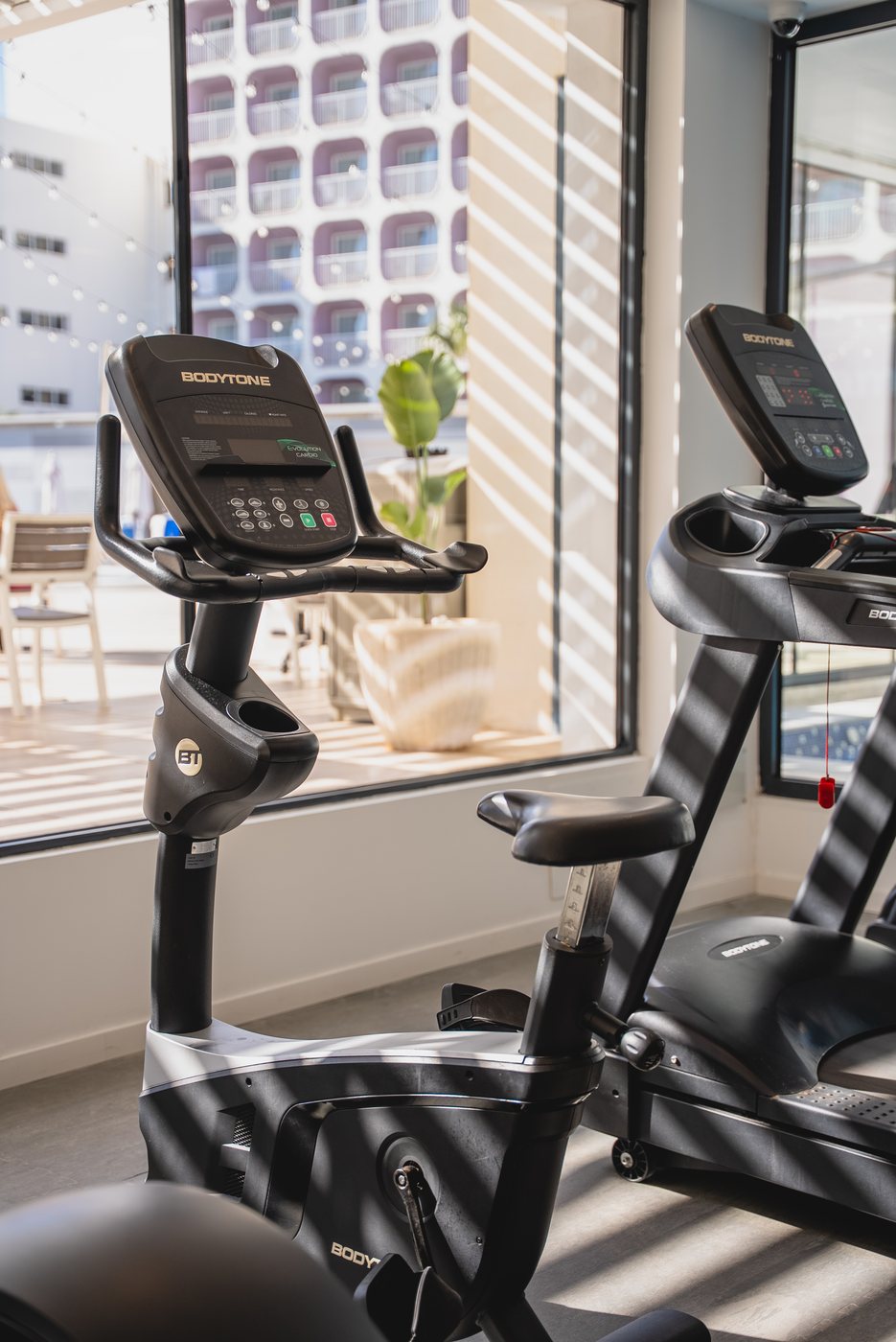Zona de cardio con iluminación natural en un proyecto fitness